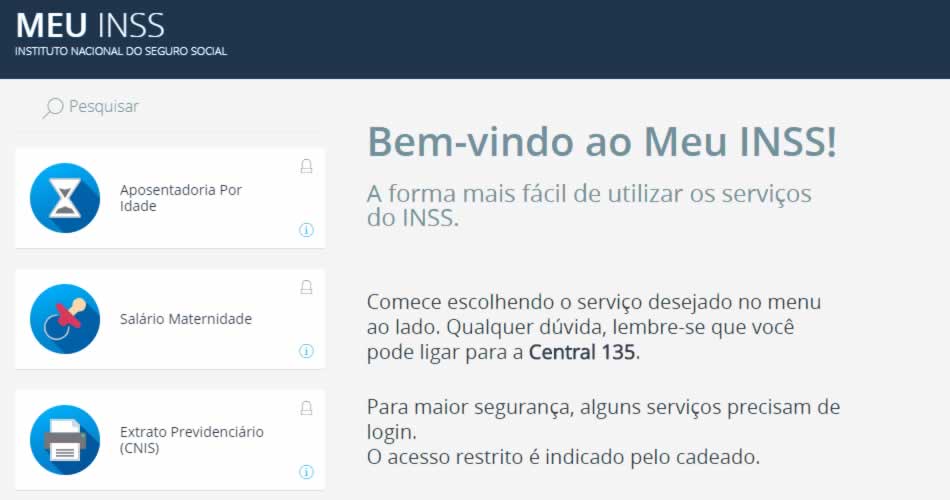 Consultar INSS pela Internet